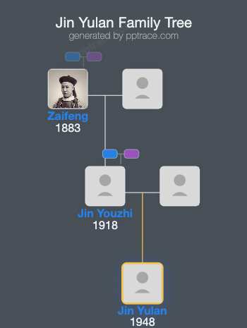 Jin Yulan family tree overview