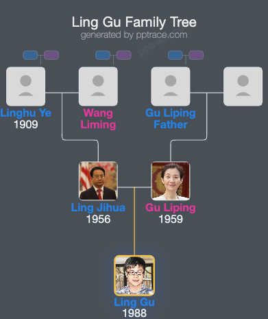 Ling Gu family tree overview