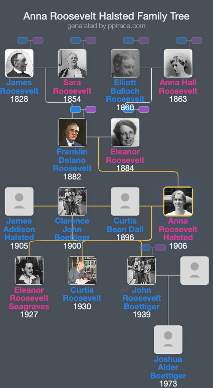 Anna Roosevelt Halsted family tree overview