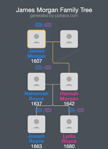 James Morgan family tree overview
