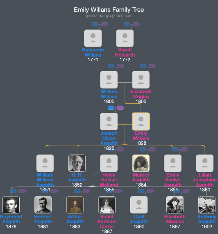 Emily Willans family tree overview