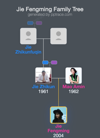 Jie Fengming family tree overview