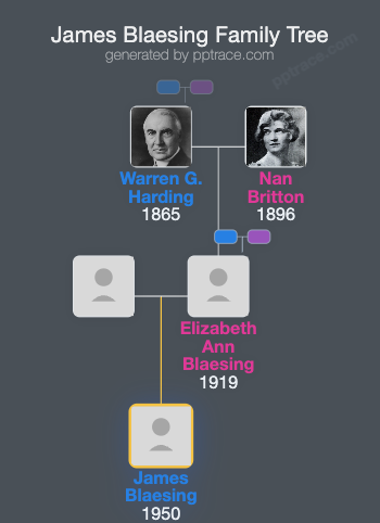 James Blaesing family tree overview