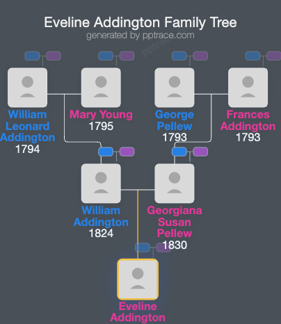 Eveline Addington family tree overview