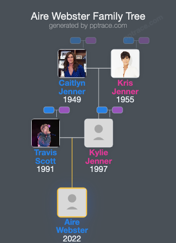 Aire Webster family tree overview