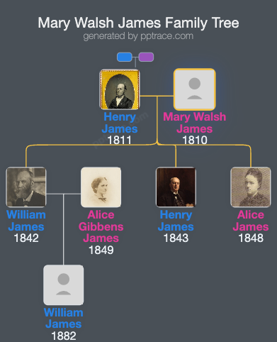 Mary Walsh James family tree overview