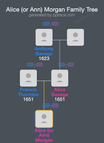 Alice (or Ann) Morgan family tree overview