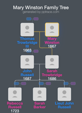 Mary Winston family tree overview