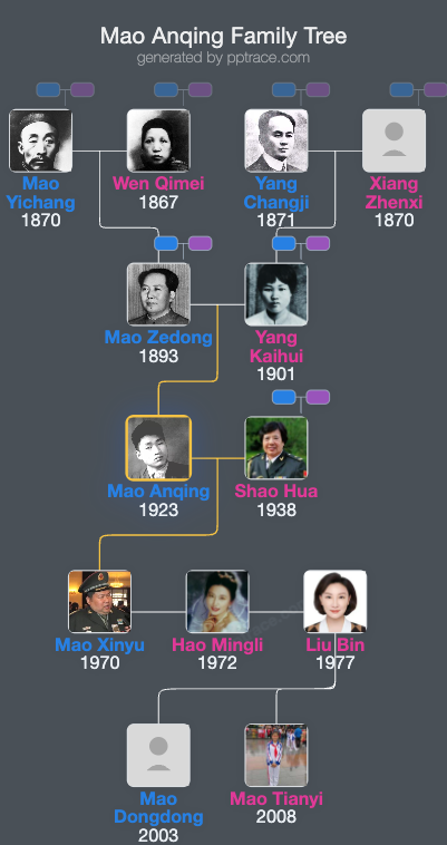 Mao Anqing family tree overview
