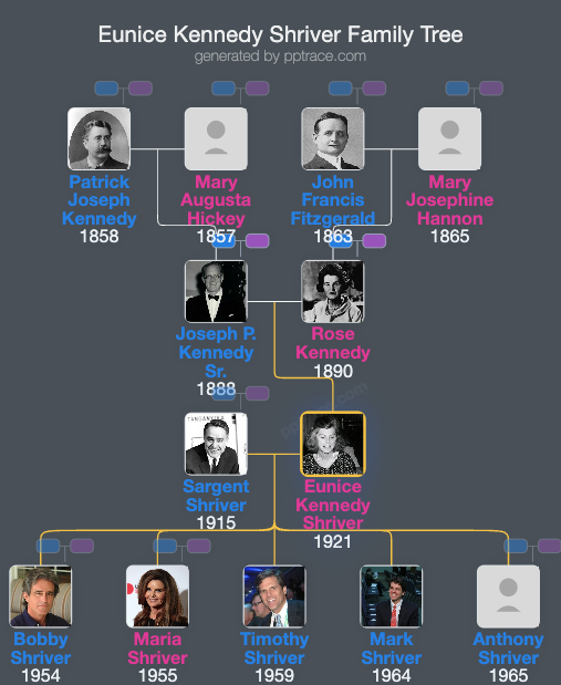 Eunice Kennedy Shriver family tree overview