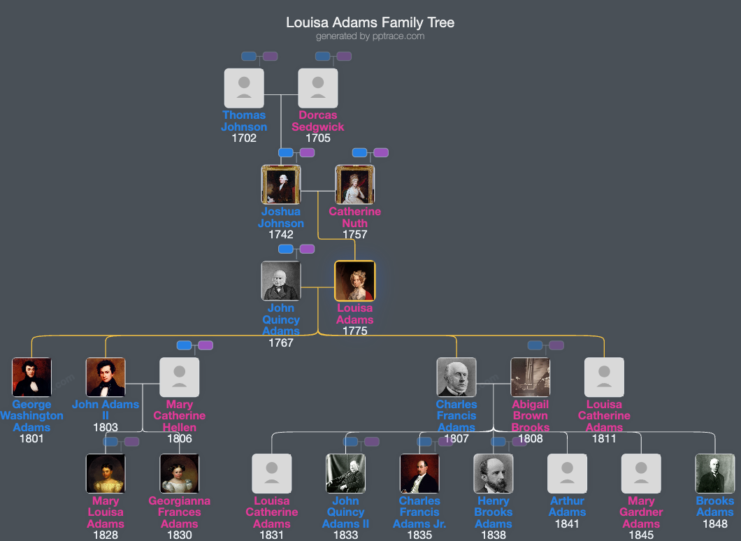 Louisa Adams family tree overview