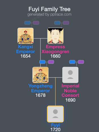 Fuyi family tree overview