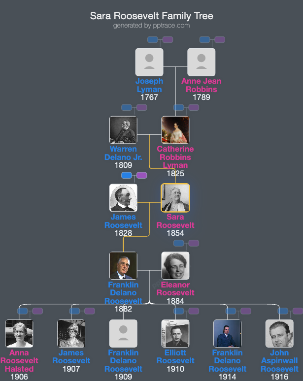 Sara Roosevelt family tree overview