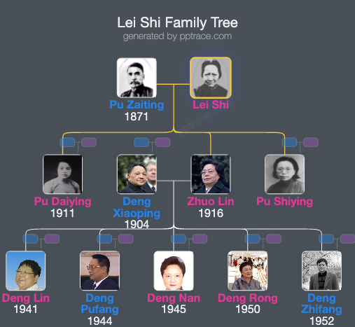 Lei Shi family tree overview