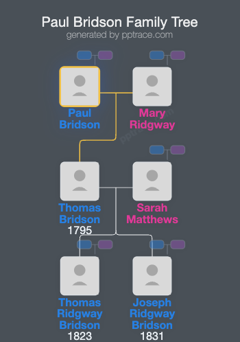 Paul Bridson, Of Balasala family tree overview