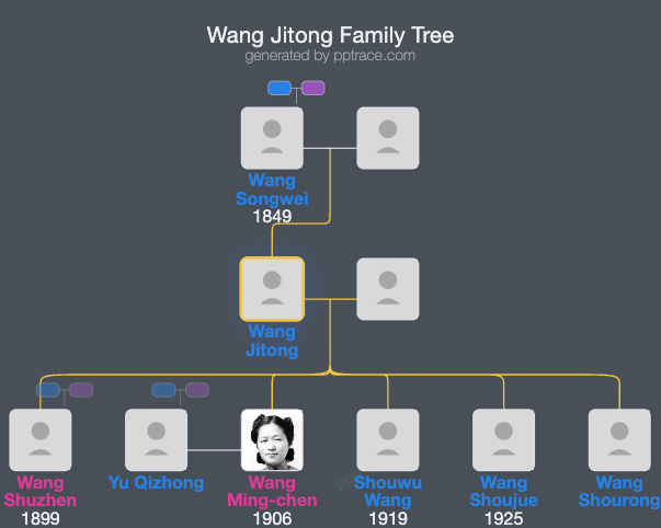 Wang Jitong family tree overview