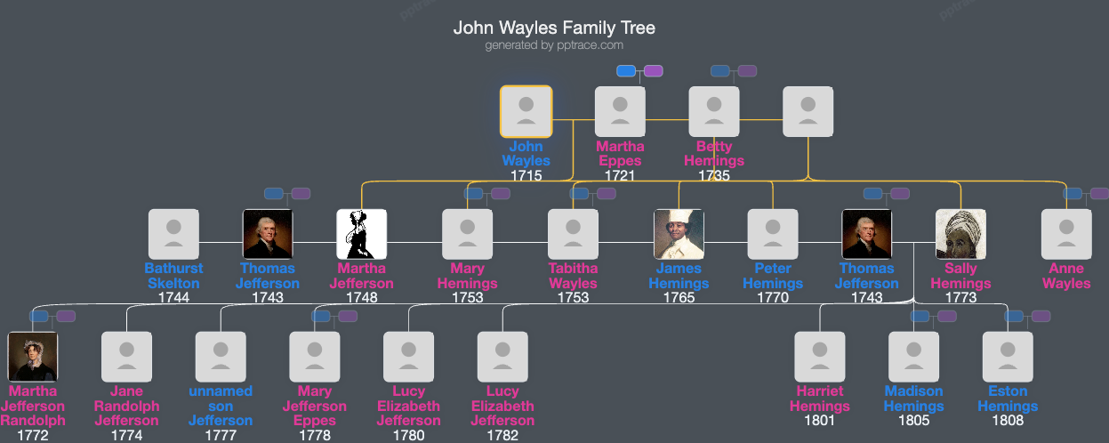John Wayles family tree overview