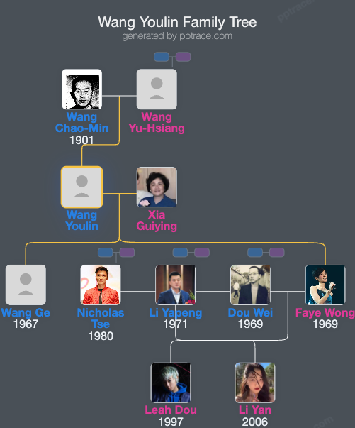 Wang Youlin family tree overview