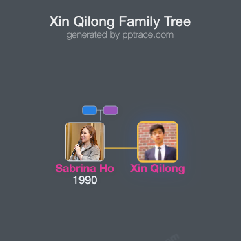 Xin Qilong family tree overview