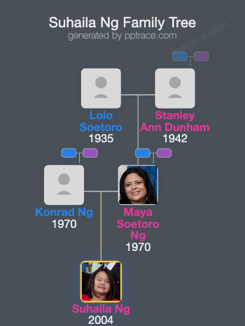 Suhaila Ng family tree overview