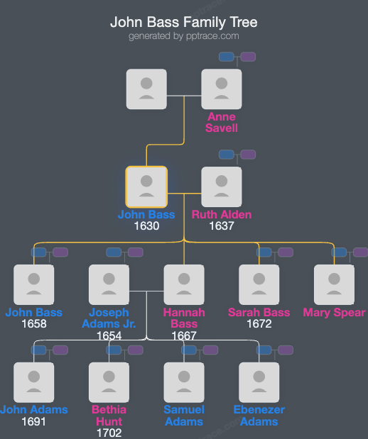 John Bass family tree overview