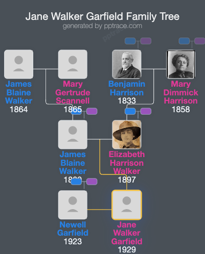 Jane Walker Garfield family tree overview