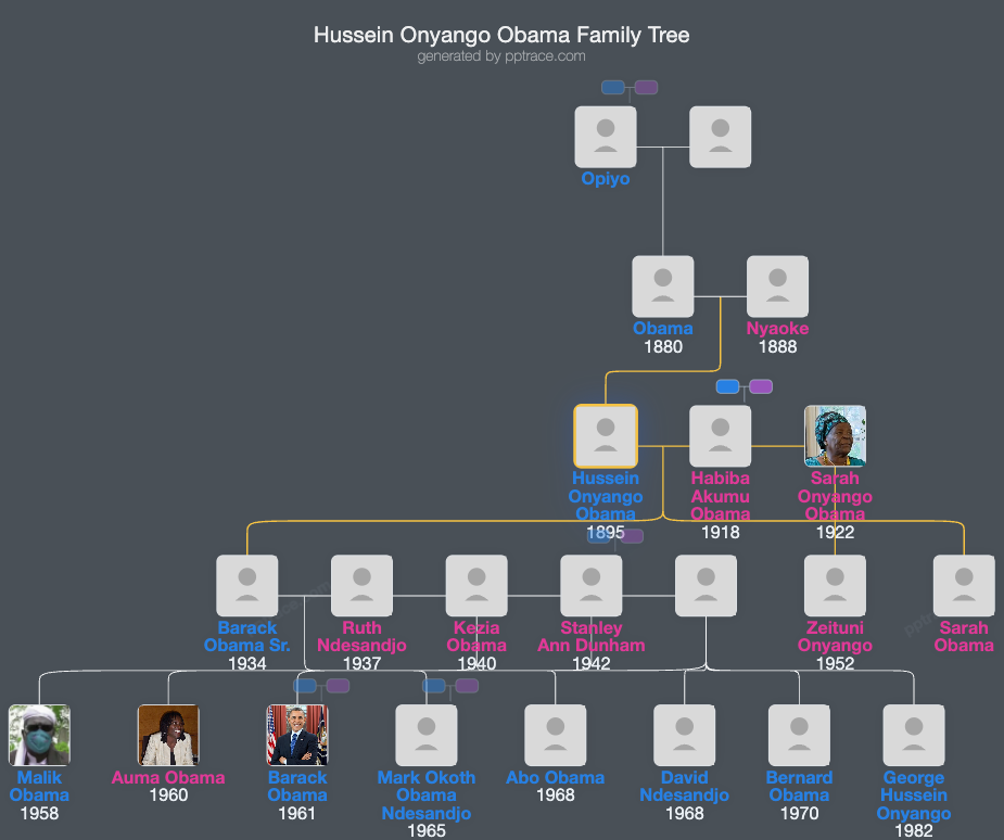 Hussein Onyango Obama family tree overview