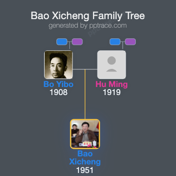 Bao Xicheng family tree overview