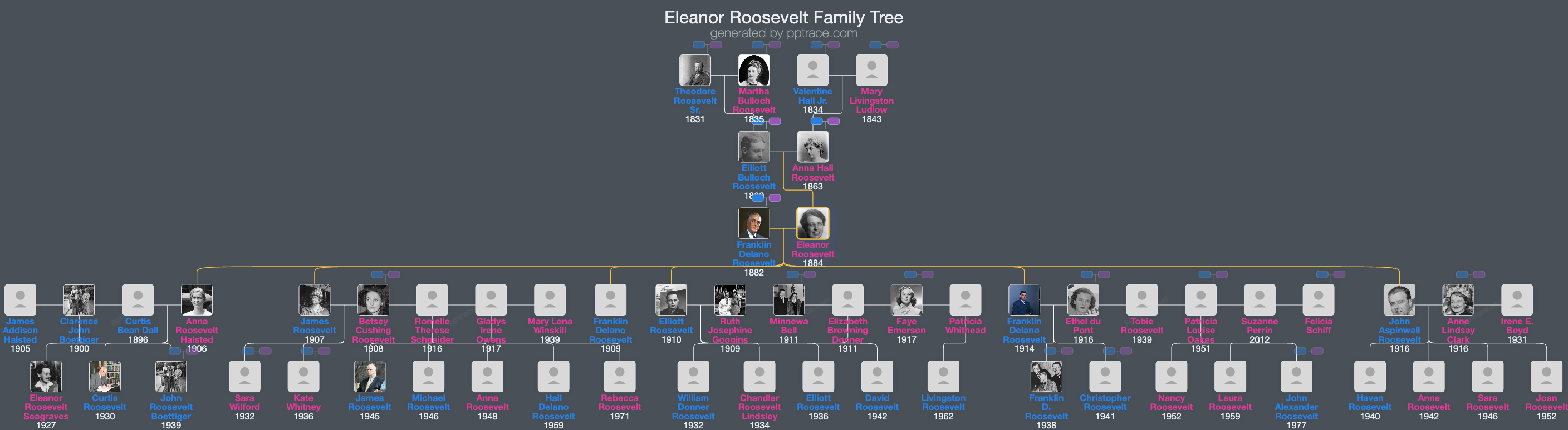 Eleanor Roosevelt family tree overview