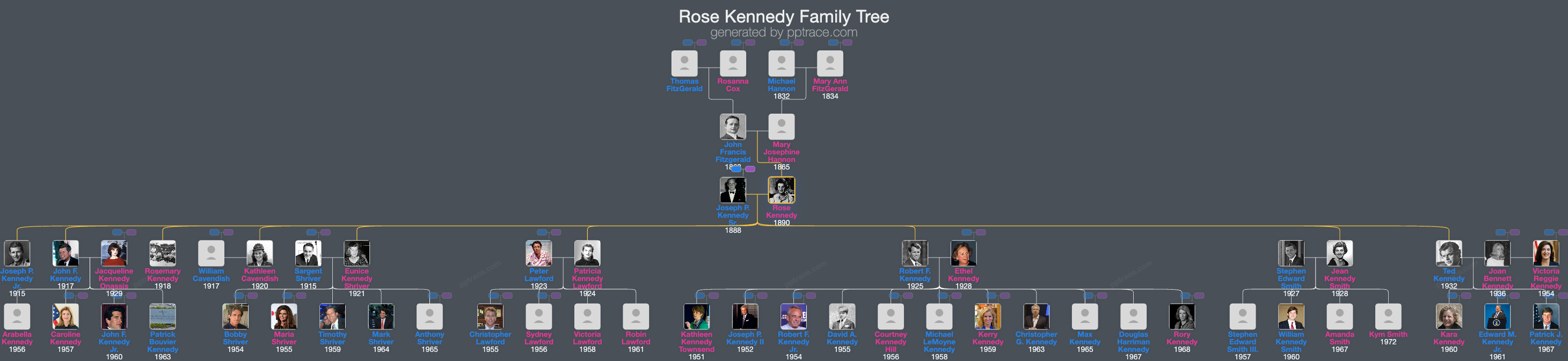 Rose Kennedy family tree overview