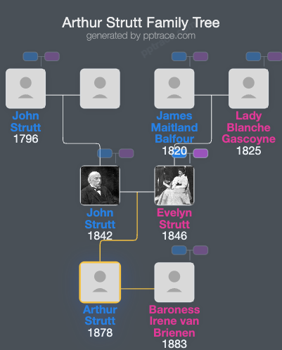 Arthur Strutt family tree overview