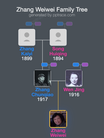 Zhang Weiwei family tree overview