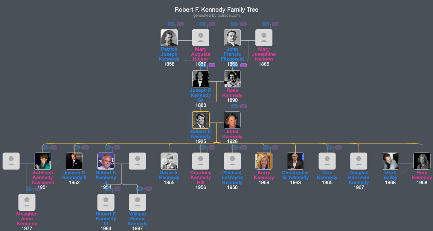 Robert F. Kennedy family tree overview