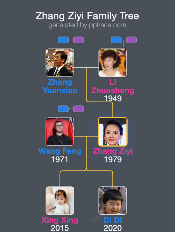 Zhang Ziyi family tree overview