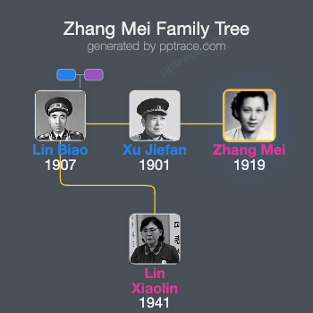 Zhang Mei family tree overview