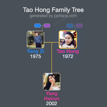 Tao Hong family tree overview