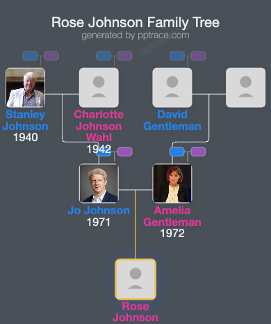 Rose Johnson family tree overview