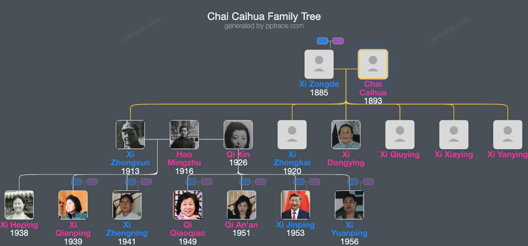 Chai Caihua family tree overview
