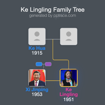 Ke Lingling family tree overview