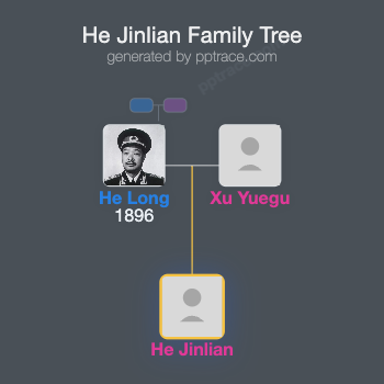 He Jinlian family tree overview