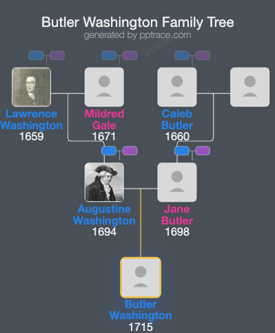 Butler Washington family tree overview