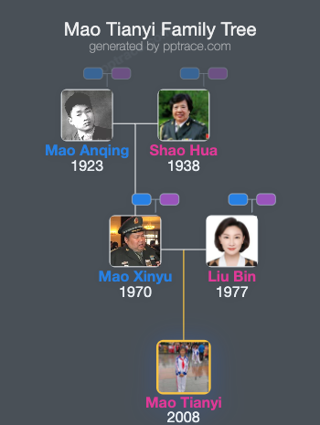 Mao Tianyi family tree overview