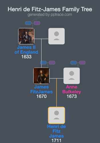 Henri De Fitz-James family tree overview