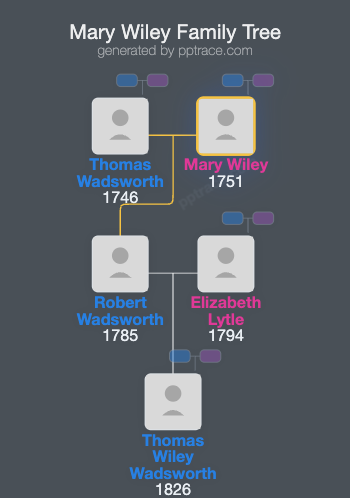Mary Wiley family tree overview