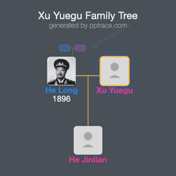 Xu Yuegu family tree overview