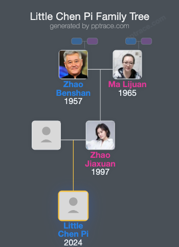 Little Chen Pi family tree overview