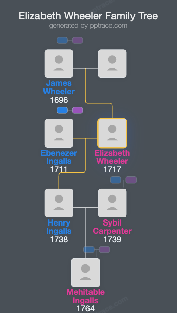 Elizabeth Wheeler family tree overview