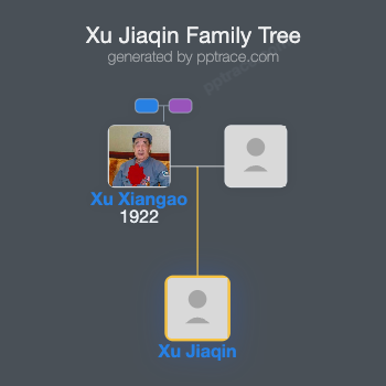 Xu Jiaqin family tree overview