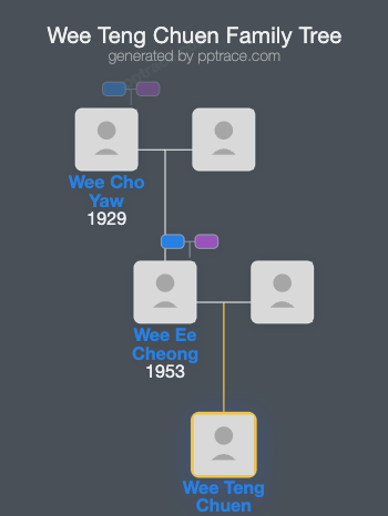 Wee Teng Chuen family tree overview