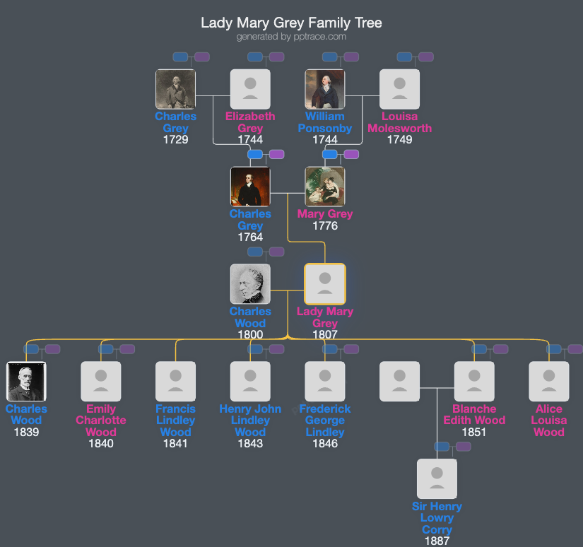 Lady Mary Grey family tree overview